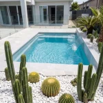 Compact plunge pool in a small Perth backyard with white paving, glass fencing and low-maintenance landscaping