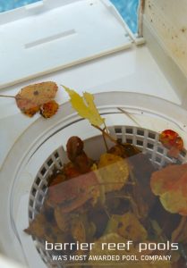 A Great Guide to Upgrading Your Pool Filter - Barrier Reef Pools Perth
